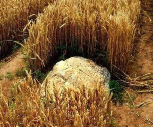 Vì sao 'ngọn núi nhỏ nhất Trung Quốc' cao chỉ 0,6m nhưng không ai dám leo trèo?