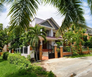 Người xưa có câu: 'Nhà nào có Cây Thanh Long, thì con cháu phú quý', cây Thanh Long ám chỉ điều gì?