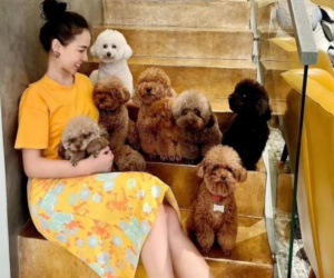 Quỳnh Thư tiếp tục bất mãn khi bị kéo vào drama, nói gì về cuộc sống hiện tại?