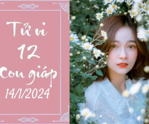 Tử vi Chủ nhật ngày 14/1/2024 của 12 con giáp: Thìn bị ám hại, Thân dôi dư tài lộc