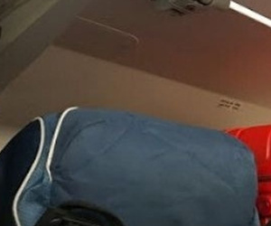 Truy tố hành khách nước ngoài móc trộm tiền trên máy bay của Vietnam Airlines