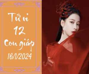 Tử vi thứ Ba ngày 16/1/2024 của 12 con giáp: Tị thoải mái, Thân ngang ngược