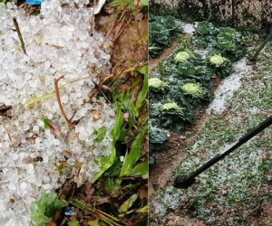 Lai Châu bất ngờ có mưa đá