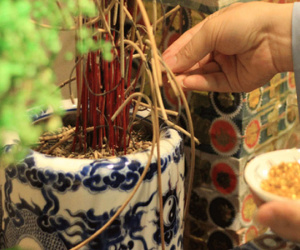 Việc quan trọng với bát hương vào cuối năm, chuyên gia chỉ ra 'ngày đẹp nhất' để thực hiện
