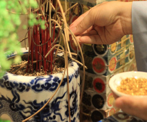 Dọn dẹp ban thờ lỡ làm xê dịch bát hương liệu có 'gặp họa'? 7 lỗi NHẤT ĐỊNH KHÔNG ĐƯỢC PHẠM kẻo mất đi sự tôn nghiêm và thiêng liêng nơi tâm linh
