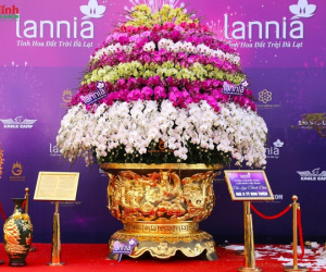 Ngắm chậu lan hồ điệp mạ vàng 24K, nặng hơn 1 tấn, nhìn giá ai cũng 'choáng váng'