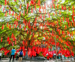 Cây ước nguyện 300 năm tại TPHCM hút giới trẻ đến check-in đầu năm mới