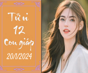 Tử vi thứ 7 ngày 20/1/2024 của 12 con giáp: Hợi tốt bụng, Tý tử tế
