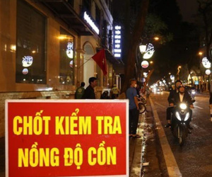 Công an Hà Nội thông tin về gần 600 đảng viên, công chức, viên chức vi phạm nồng độ cồn