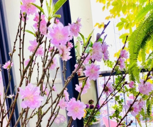 Phải gần 10 năm nữa mới lại có ngày 30 Tết