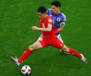 Ảnh minh họa
