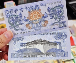 'Săn' tiền rồng cho năm mới