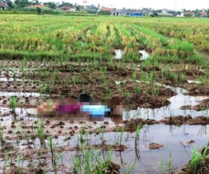 Xác người giữa đồng hoang ngày cận Tết tố kẻ sát nhân khát tiền