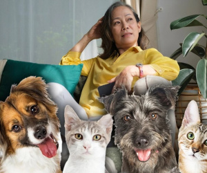 Con cháu không quan tâm chăm sóc, cụ bà để lại tài sản 69 tỷ đồng cho chó mèo cưng
