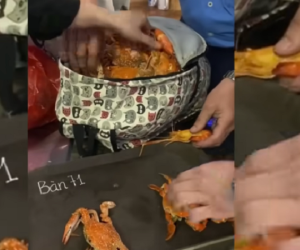 Từ vụ lấy hải sản ở quán buffet: Đưa hình ảnh khách lên mạng coi chừng phạm luật