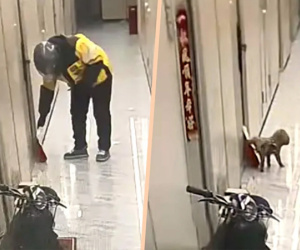 Tưởng shipper giở trò với hộp đồ ăn mình đặt, cô gái vội xin lỗi khi xem lại camera giám sát