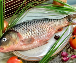 Loại cá được mệnh danh là 'thuốc tiên' cho phụ nữ