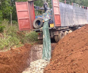 Tin mới vụ vận chuyển 5,5 tấn cá tầm trái phép qua Cửa khẩu Quốc tế Bờ Y