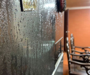 Gia chủ tá hỏa với cảnh tượng trong tủ quần áo ngày trời nồm: Rất nhiều gia đình cũng gặp phải