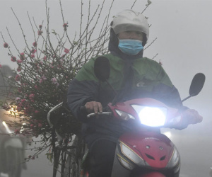 Dự báo thời tiết 6/2/2024: Miền Bắc vẫn sương mù ẩm, trưa hửng nắng