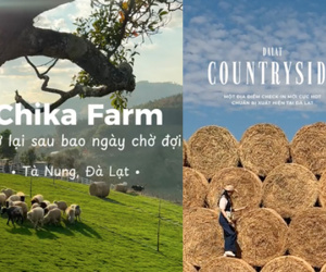 Chika Farm Đà Lạt bất ngờ thông báo trở lại đúng mùng 2 Tết, thêm nhiều cảnh check-in đẹp mê mẩn