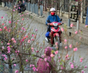 Tin gió mùa đông bắc mới nhất: Ngày mai, Bắc Bộ rét nhất trong kỳ nghỉ Tết
