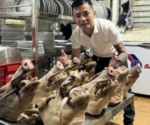 Mong cầu may mắn, người Hà Tĩnh săn đầu lợn rừng làm mâm cúng 30 Tết