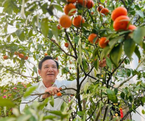 Quang Tèo tháng đi diễn 25 ngày, ở nhà phải xin phép vợ