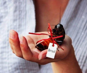 Dịch vụ tặng quà đặc biệt vào Valentine gây sốt tại Mỹ: Dân mạng thi nhau mua làm quà tặng người cũ