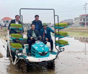 Thủ tướng xuống đồng cấy lúa, lì xì cho bà con nông dân