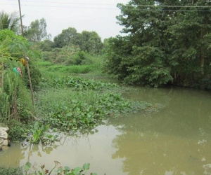 Ảnh bìa bài viết 922062