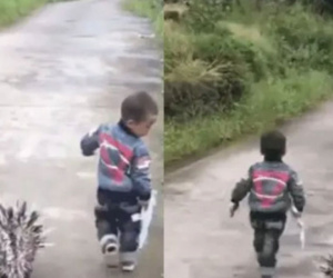 Cãi nhau với bạn, cậu bé hùng hổ chạy ra khỏi nhà, mẹ lén đi theo xem thử: Nhìn thứ con dắt theo cùng, mẹ vừa ôm bụng cười vừa kéo con về vội