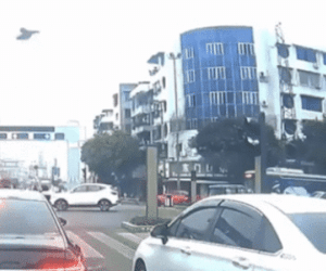Clip: Gà 'tung cước' đá hỏng đèn giao thông khiến CSGT choáng váng