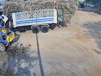 Nghịch bật lửa với đống mía, đứa trẻ suýt 'hóa tro' cả một chiếc xe tải