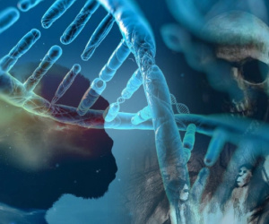 Soi DNA, lộ tung tích loài 'người ma' chưa từng biết trong lịch sử