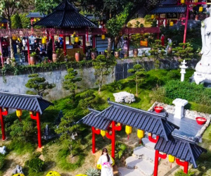 Ngôi chùa cổ bình yên có cây thị trăm tuổi linh thiêng gần Hà Nội