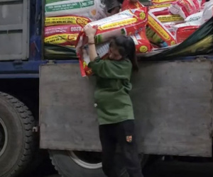 Xót xa hình ảnh người phụ nữ vác bụng bầu 8 tháng khệ nệ đi bốc vác kiếm tiền nuôi con
