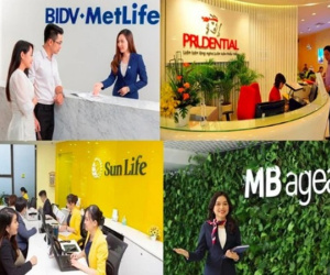 Thanh tra toàn diện thị trường bảo hiểm
