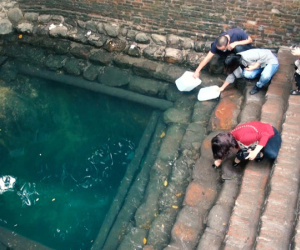 Hàng nghìn người đến một ngôi đền dịp đầu năm, múc nước giếng để uống và rửa tay: Sự thật đằng sau là gì?