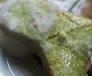 Bánh chưng cắt phần bị mốc còn ăn được không?