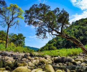 Vẻ đẹp hoang sơ của 'viên ngọc xanh' ở Hà Tĩnh