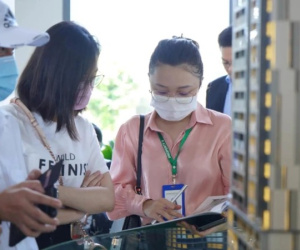 Giao dịch nhà đất nhỏ giọt, nhân viên môi giới bất động sản vẫn thong dong chơi Tết