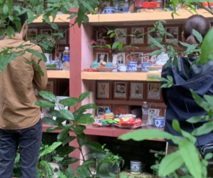 Dịch vụ an nghỉ cho thú cưng: Người trong nghề bần thần trước nhiều hình ảnh đau đớn, đứng trước mặt khách nhớ 1 điều tối kỵ!
