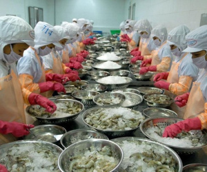 Trung Quốc tăng nhập thủy sản Việt Nam gấp 3 lần