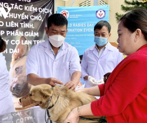 Một học sinh tử vong sau 2 tháng bị chó cắn