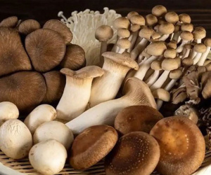 Khi ăn nấm, nhớ cho kỹ những lưu ý này kẻo ngộ độc chết người