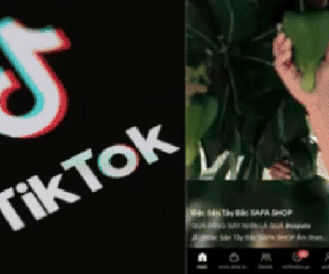 Hết bị 'đăng xuất' Facebook, netizen than trời vì TikTok chập chờn