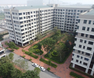 Vì sao giá chung cư liên tục tăng?