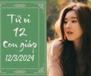 Tử vi 12 con giáp hôm nay - thứ 3 ngày 12/03/2024: Tị mất tiền, Tuất tăng thu nhập