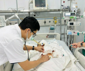 Bé trai 13 tuổi trong tai nạn máy tính phát nổ khi đang học bài đã tử vong